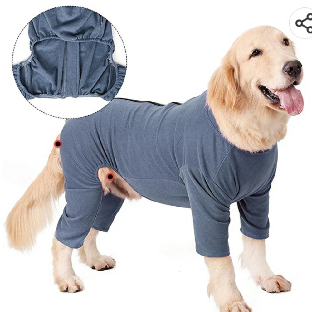 Full Coverage Pet Surgical Recovery Bodysuit After Surgery Wear pre-owned